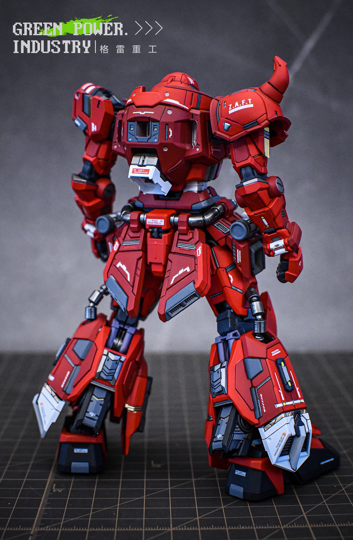 BANDAI MG ZGMF-1000 LUNAMARIA'S ZAKU WARRIOR GUNNER WITH AETHER STUDIO GK