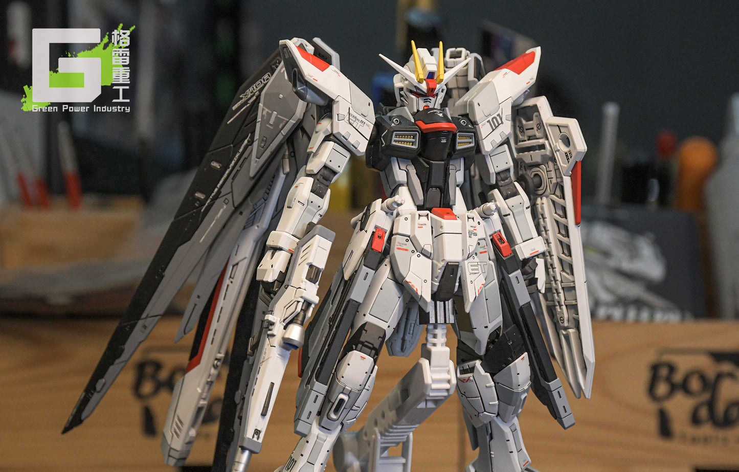 BANDAI RG ZGMF-X10A-FREEDOM VER.CGP CUSTOM