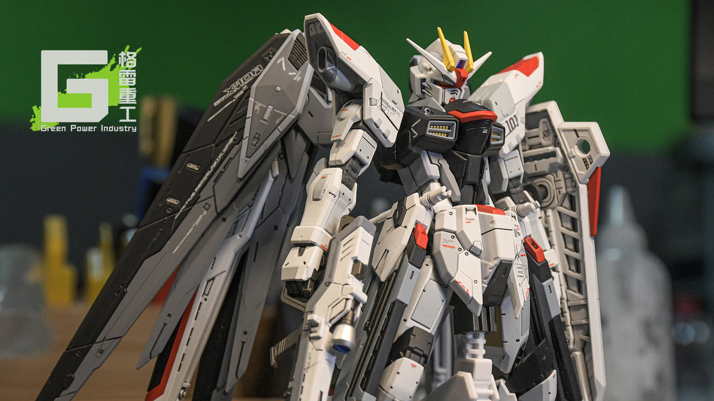 BANDAI RG ZGMF-X10A-FREEDOM VER.CGP CUSTOM