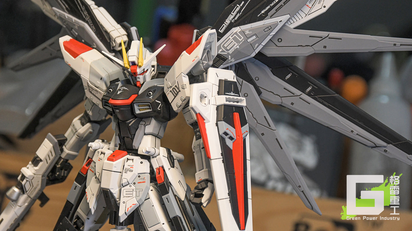 BANDAI RG FREEDOM VER.CGP
