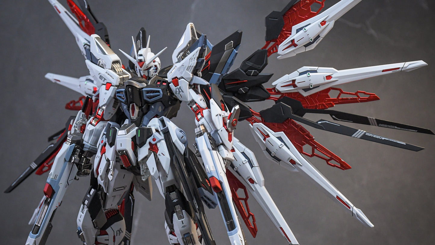 STRIKE FREEDOM CUSTOM