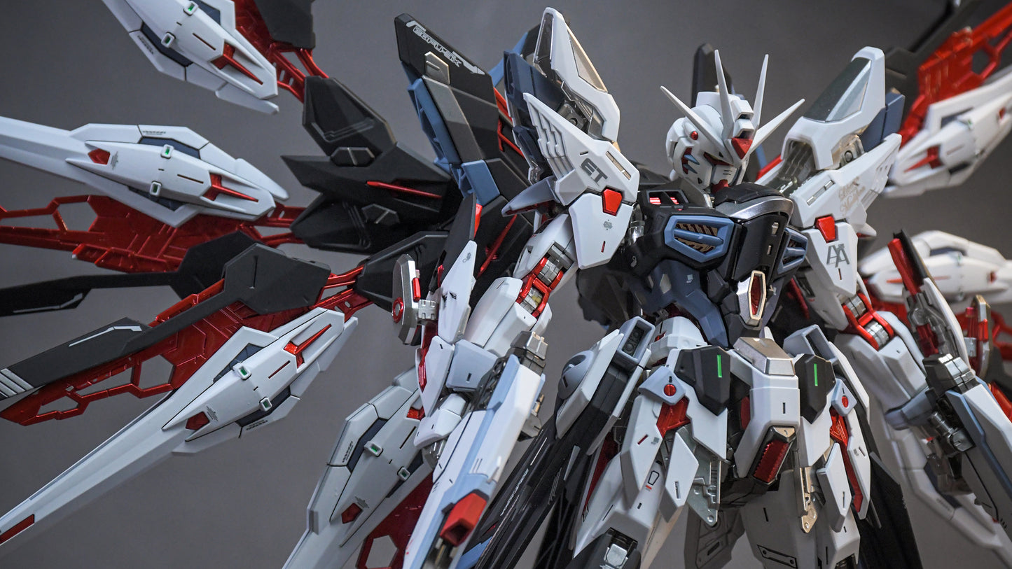 ZGMF-X20A