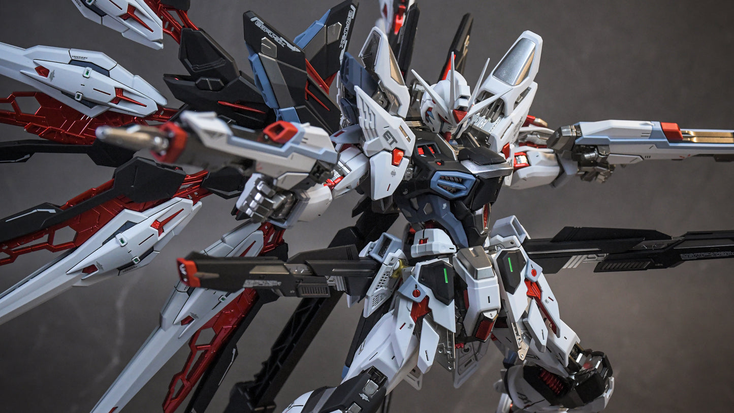 BANDAI MGEX ZGMF-X20A STRIKE FREEDOM GUNDAM VER.CUSTOM