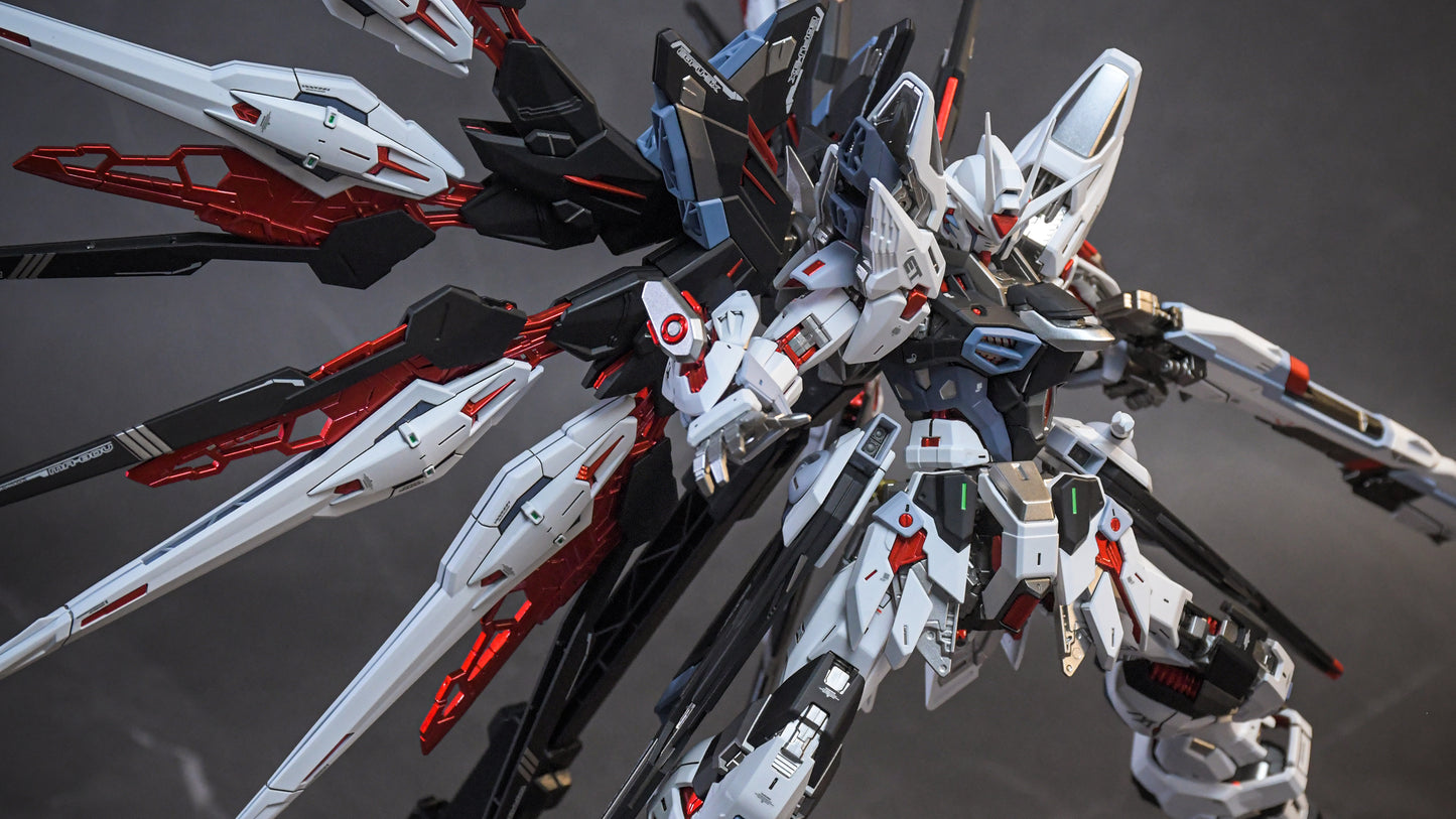 BANDAI MGEX ZGMF-X20A STRIKE FREEDOM GUNDAM VER.CUSTOM